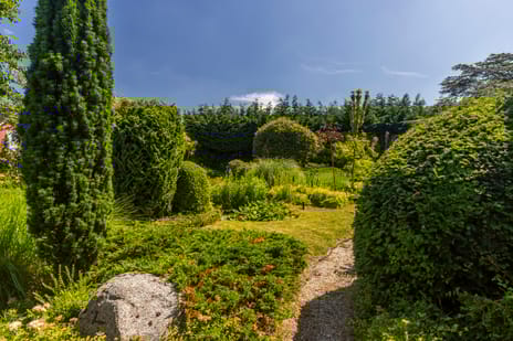 Emmastraat 85 secondary image