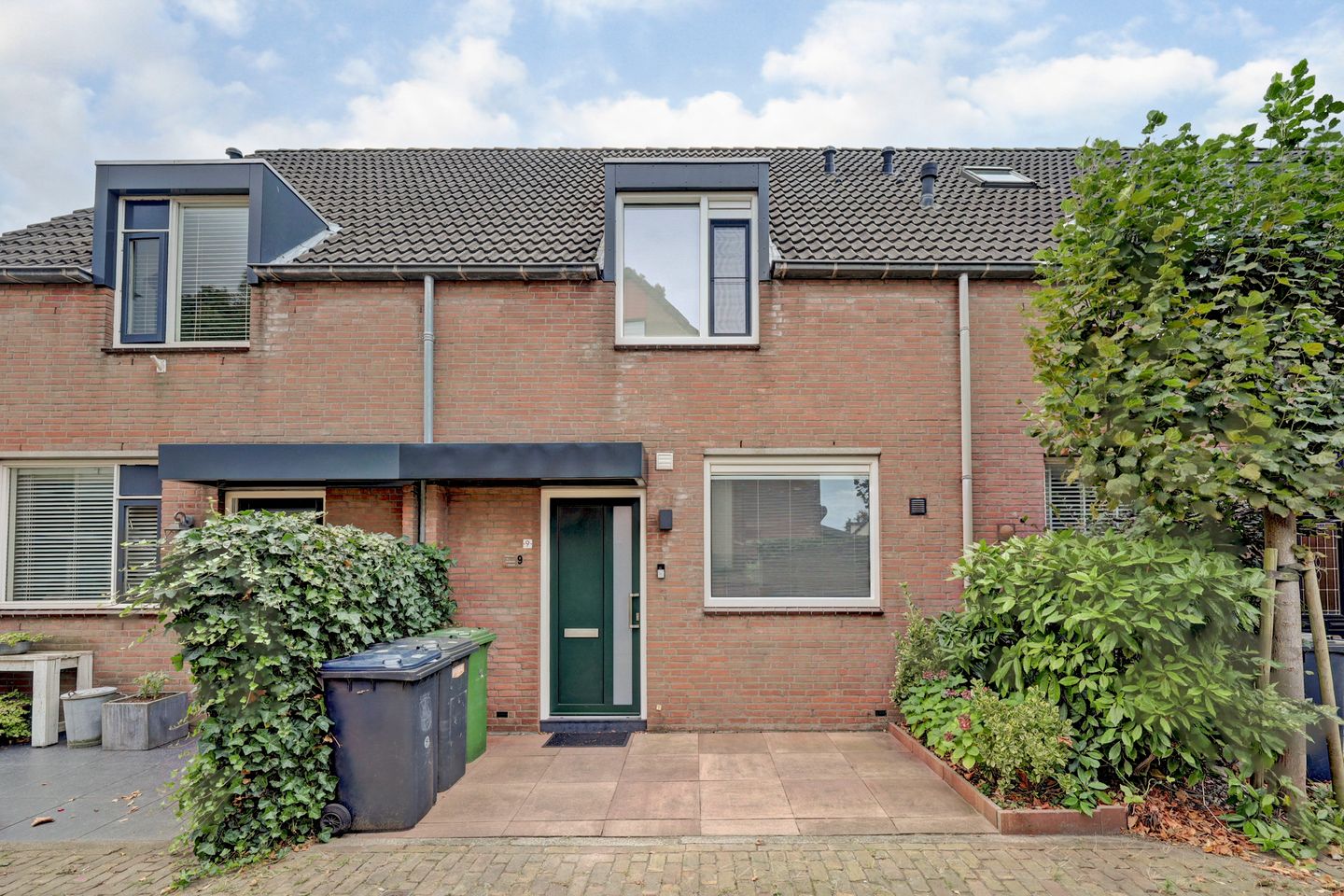 Foto 29 van Leverkruid 9