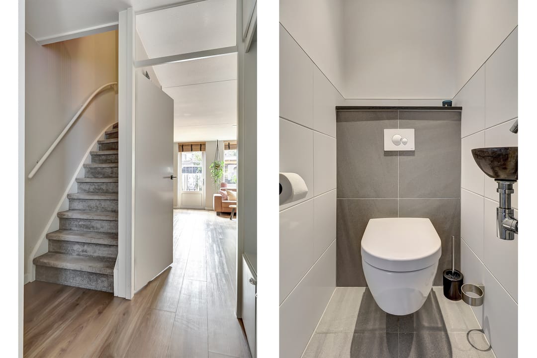 Foto 7 van Leverkruid 9