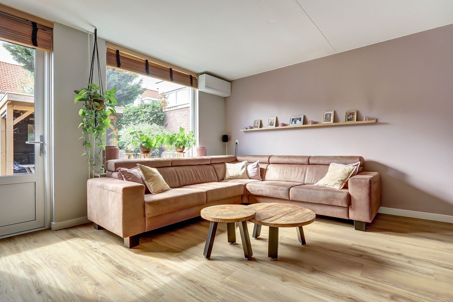 Foto 10 van Leverkruid 9