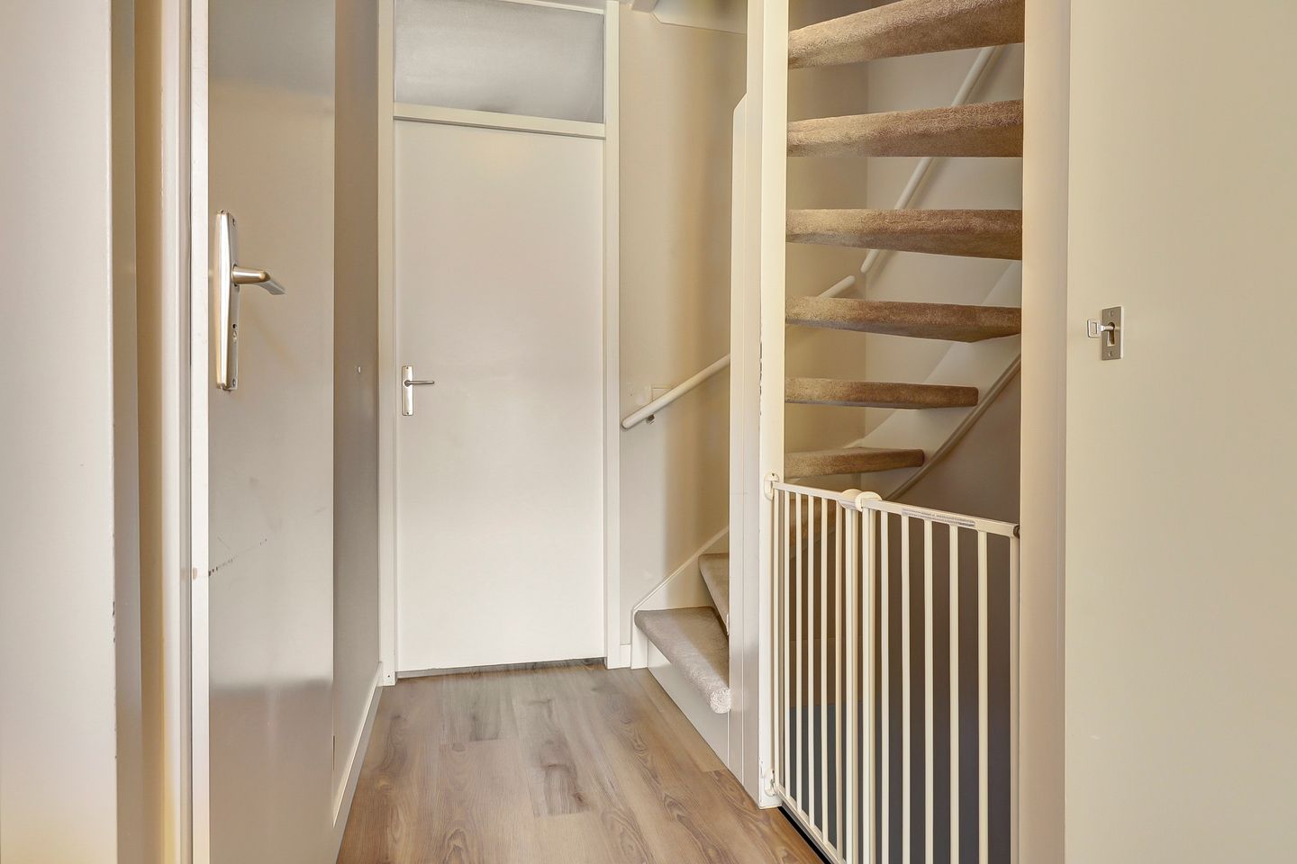 Foto 14 van Leverkruid 9