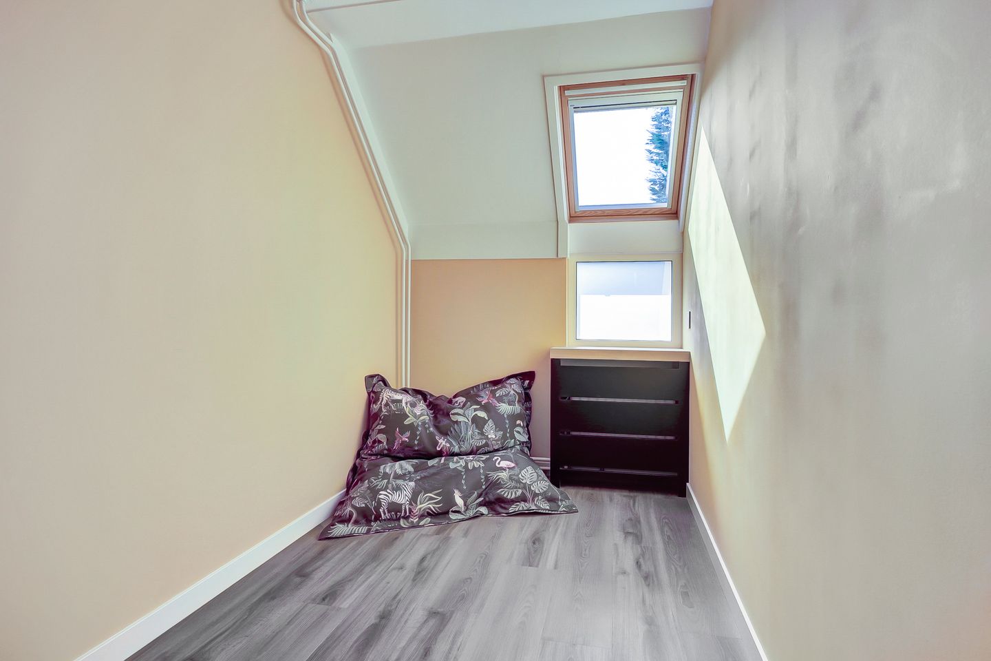 Foto 19 van Leverkruid 9