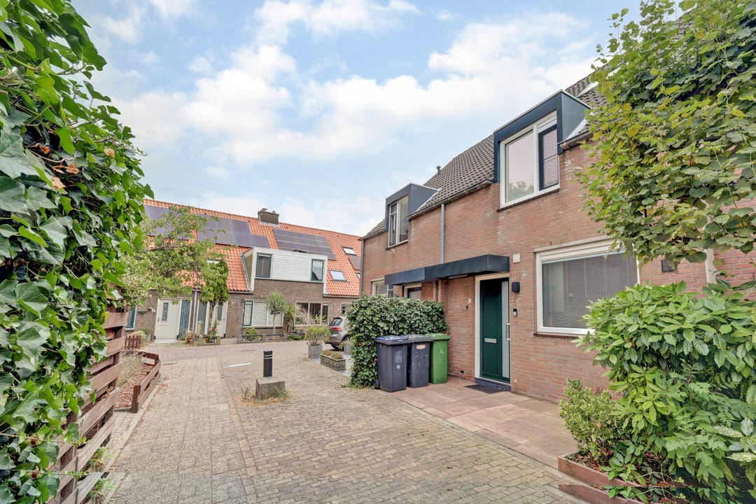 Foto 28 van Leverkruid 9