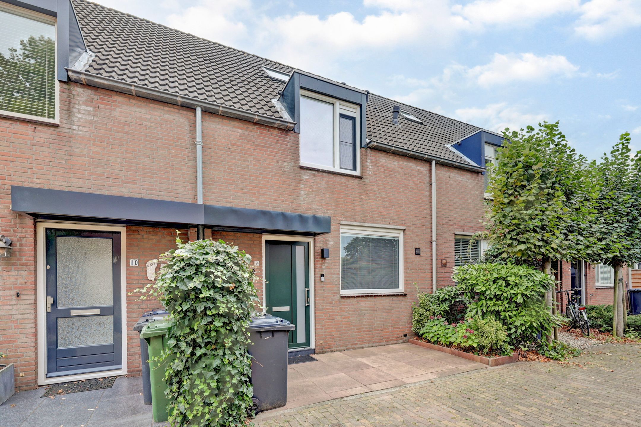 Foto 6 van Leverkruid 9