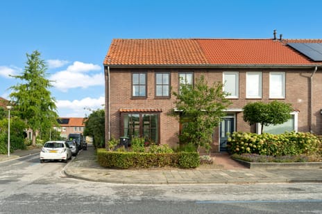 undefined main image