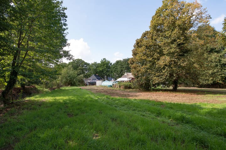 Foto 35 van Norgerweg 137