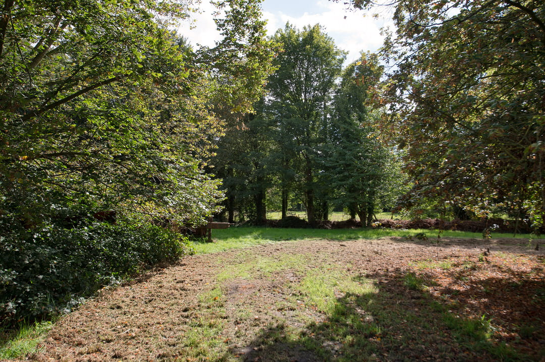Photo 37 of Norgerweg 137