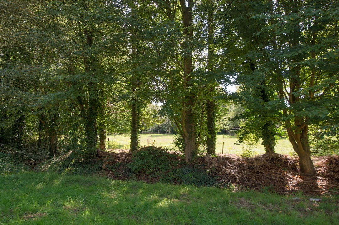 Photo 38 of Norgerweg 137