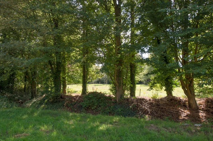 Foto 38 van Norgerweg 137