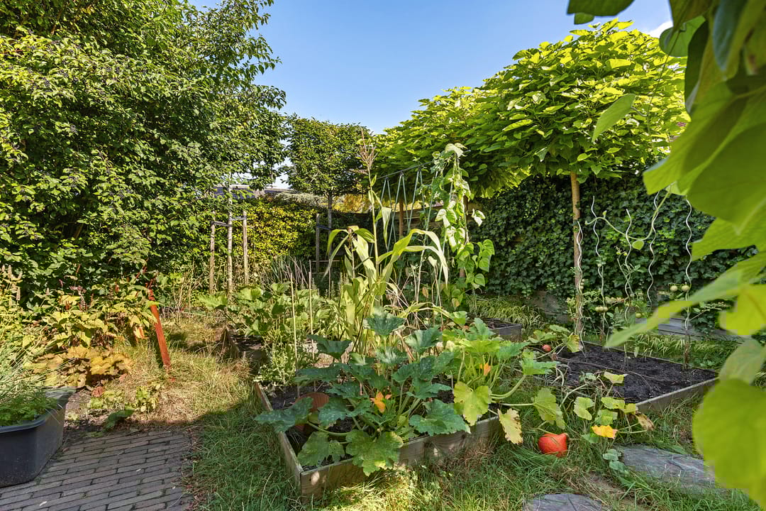 Foto 37 van Jadestraat 17