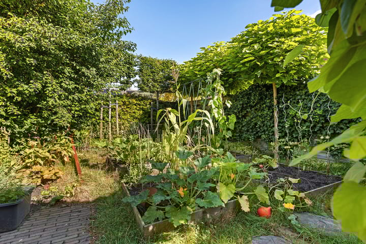 Foto 37 van Jadestraat 17