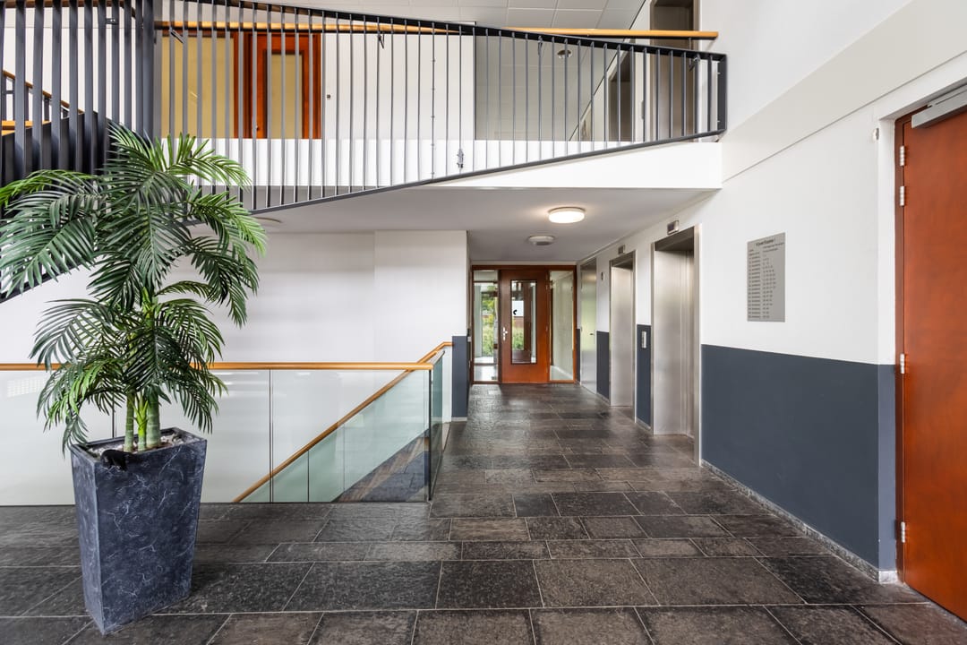 Foto 26 van Hoge Vijver 31