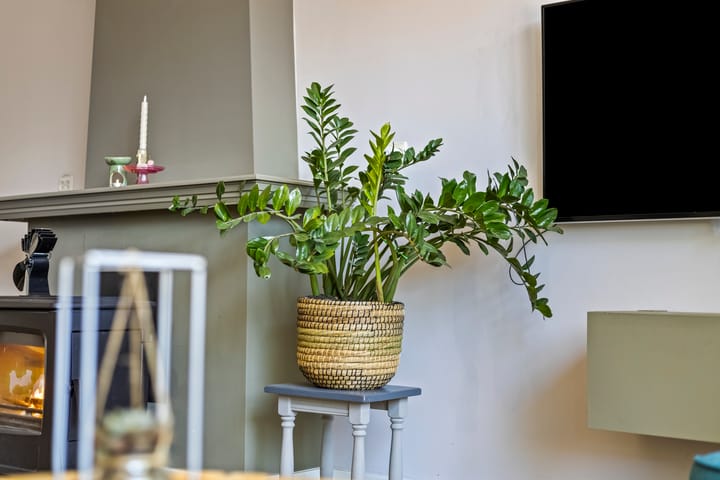 Foto 14 van Nicolaas Beetsstraat 1