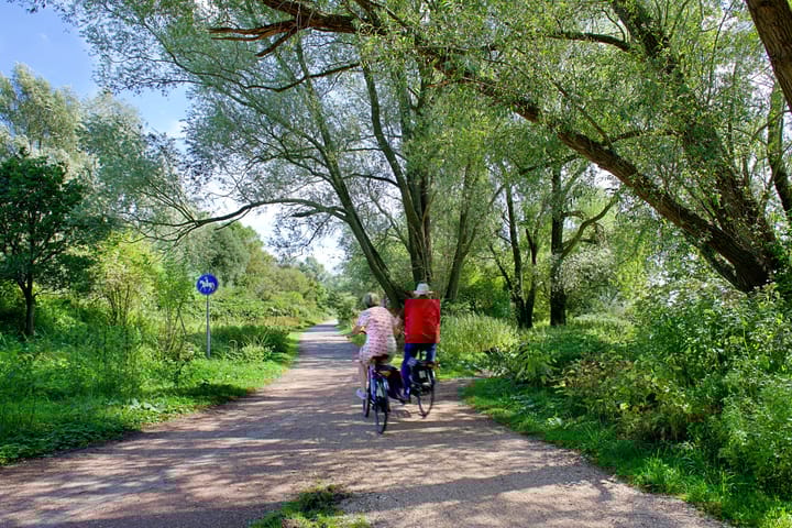 Foto 19 van Erf Meerzigt