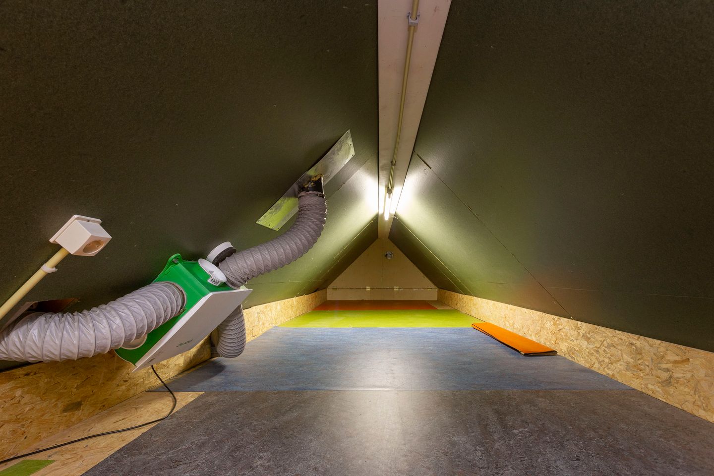 Foto 50 van Tacitus 12