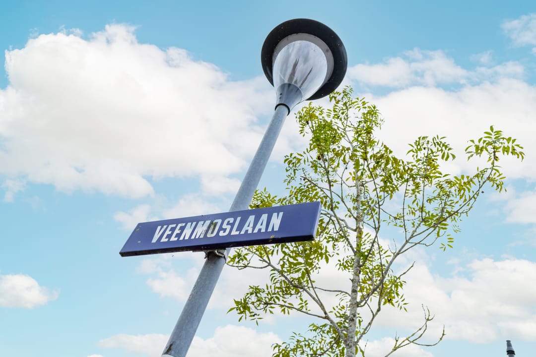 Foto 46 van Veenmoslaan 15
