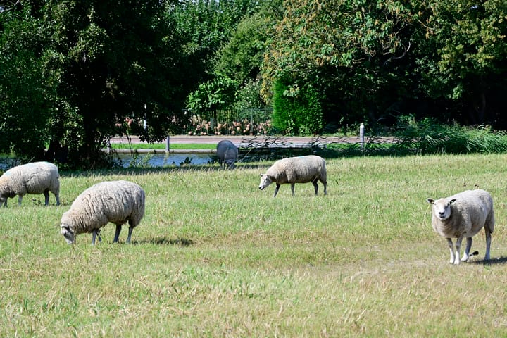 Photo 57 of Boeghof 6