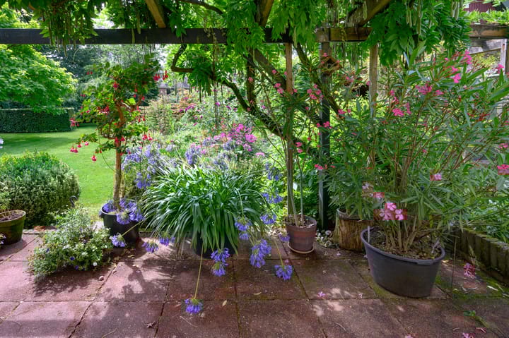 Foto 30 van Harderwijkerweg 71