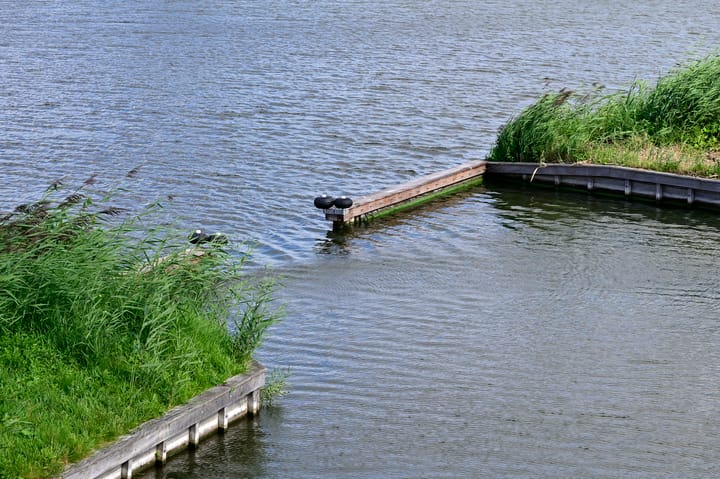 Foto 52 van Spiegelkade 5