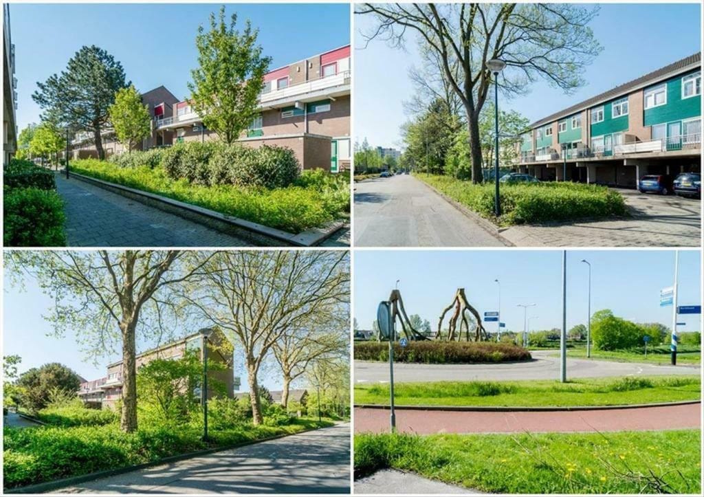 Foto 1 van Boogschutter 42