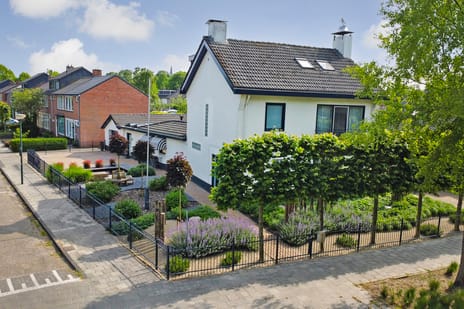 van Hornestraat thumbnail