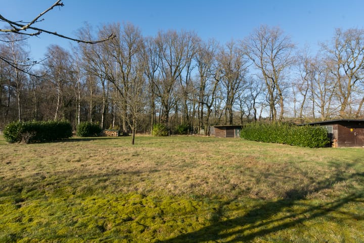 Photo 50 of Holthuise 5