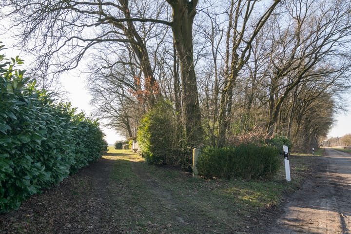 Photo 53 of Holthuise 5