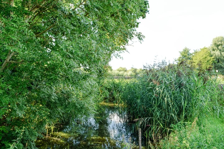 Photo 54 of Stompwijkseweg 27