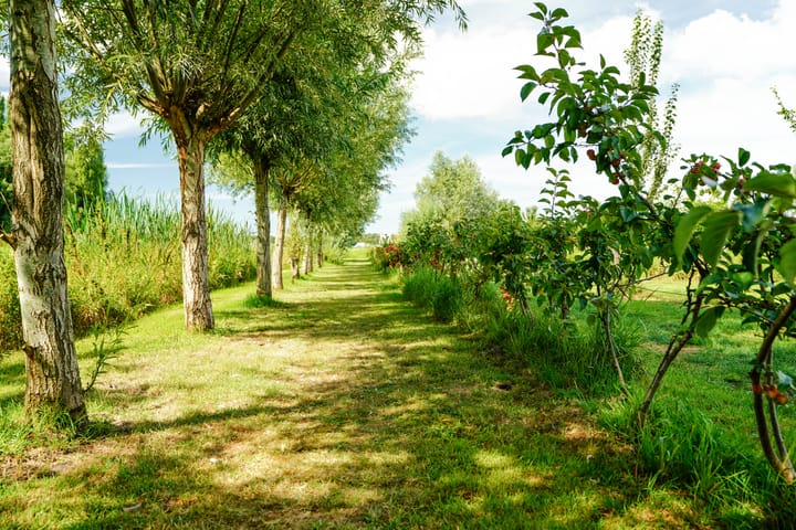Photo 56 of Stompwijkseweg 27