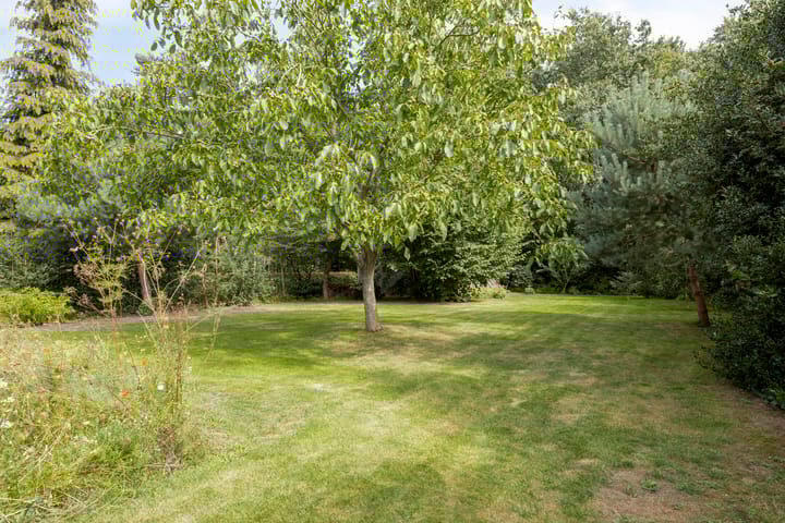 Photo 48 of Tweede Dwarsdiep 18