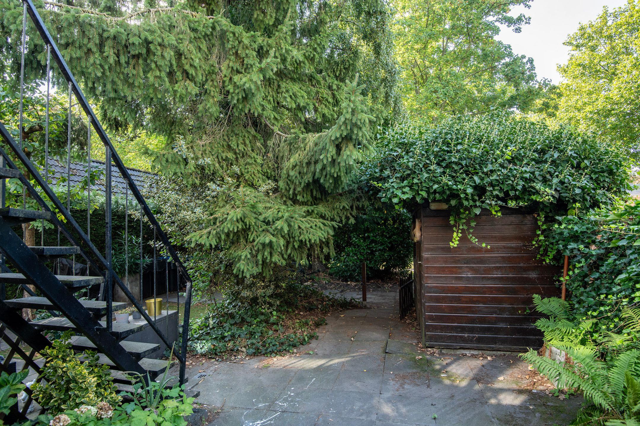 Foto 3 van Emdenmeen 18