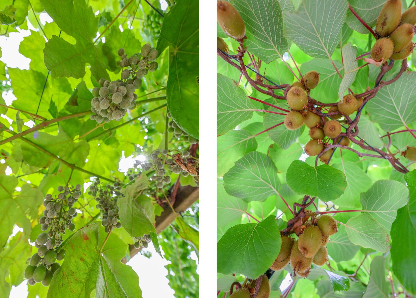 Foto 40 van Land in Zicht 30