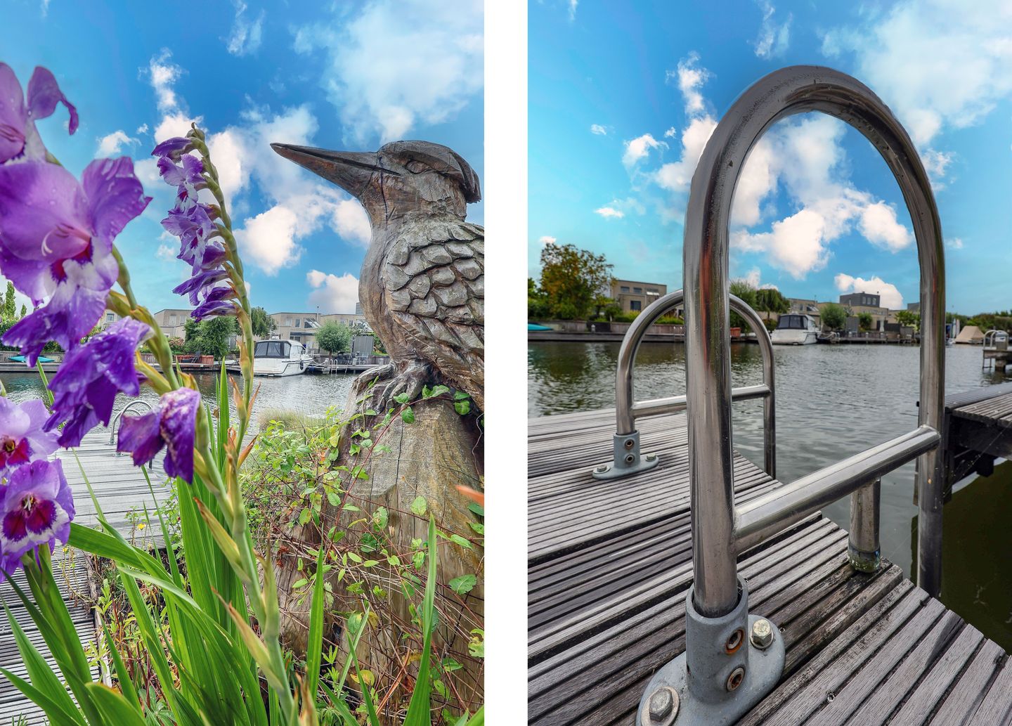 Foto 44 van Land in Zicht 30