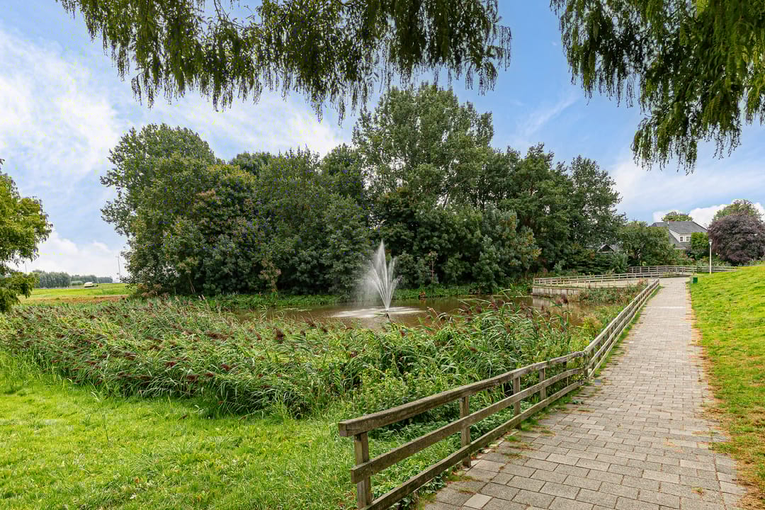 Foto 38 van Het Wapenschild 34