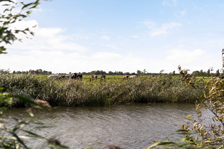 Foto 81 van Thaborwei 8