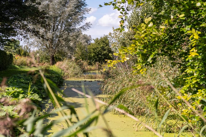 Foto 89 van Thaborwei 8