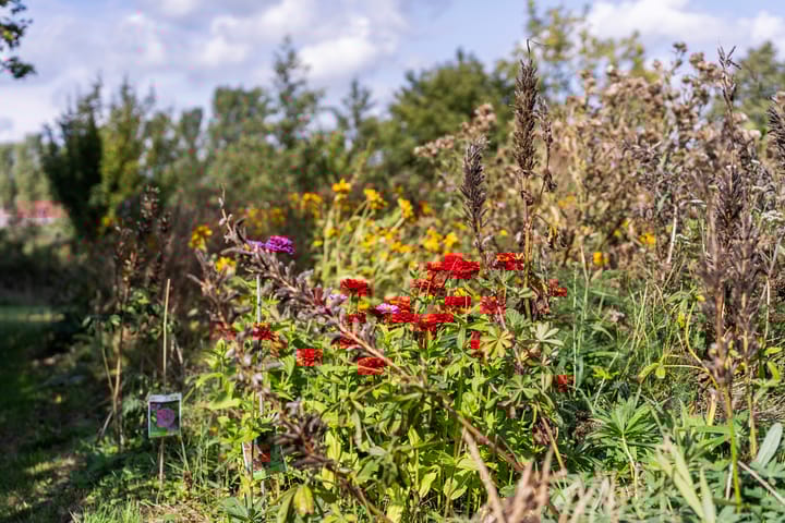 Foto 90 van Thaborwei 8