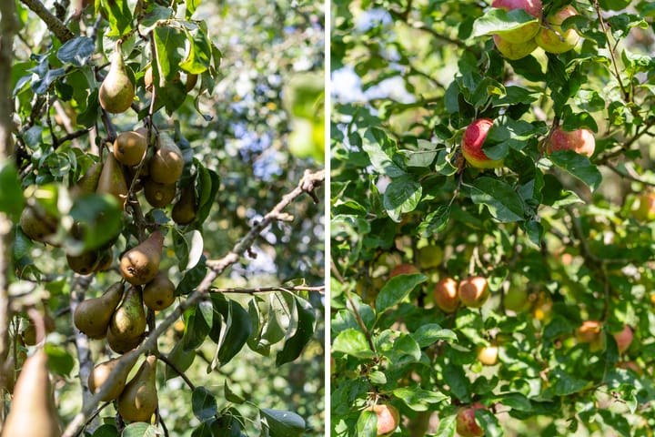 Foto 91 van Thaborwei 8