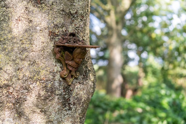 Foto 92 van Thaborwei 8