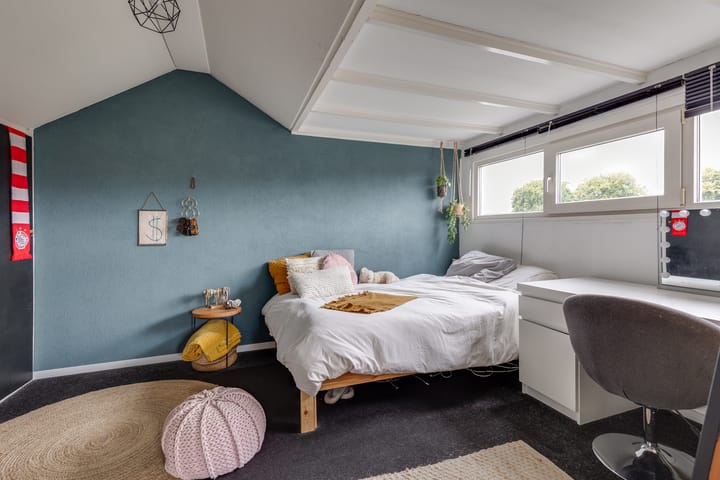 Photo 43 of Herman van Halterenstraat 19