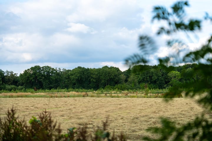 Foto 18 van Hondemotsweg, Wonen in het Veld (Bouwnr. Kavel D)