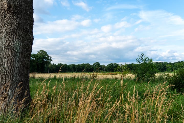 Foto 2 van Hondemotsweg, Wonen in het Veld (Bouwnr. Kavel J)