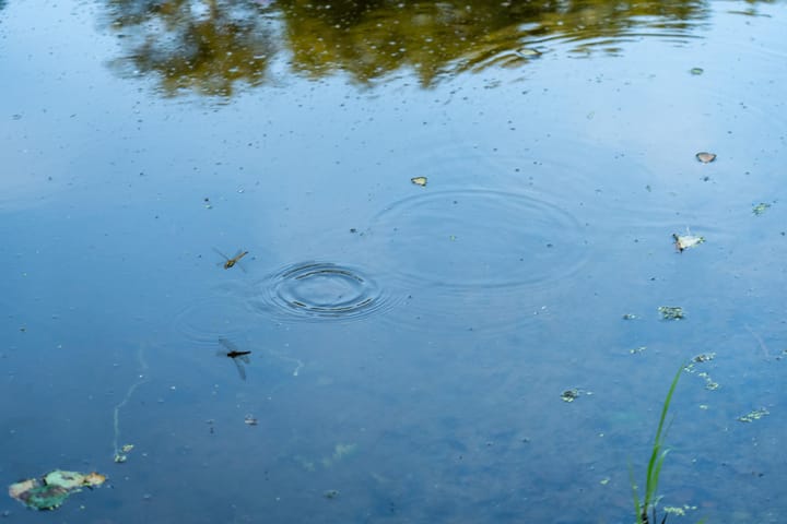 Photo 19 of Hondemotsweg, Wonen in het Veld (Bouwnr. Kavel J)