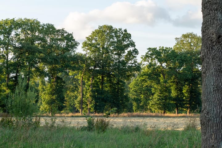 Photo 20 of Hondemotsweg, Wonen in het Veld (Bouwnr. Kavel J)