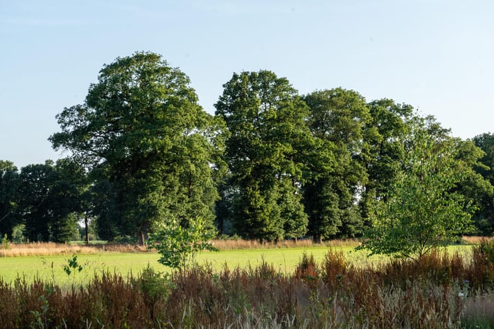 Photo 18 of Hondemotsweg, Wonen in het Veld (Bouwnr. Kavel E)