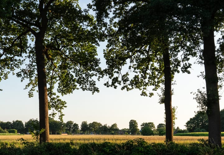 Foto 20 van Hondemotsweg, Wonen in het Veld (Bouwnr. Kavel G)