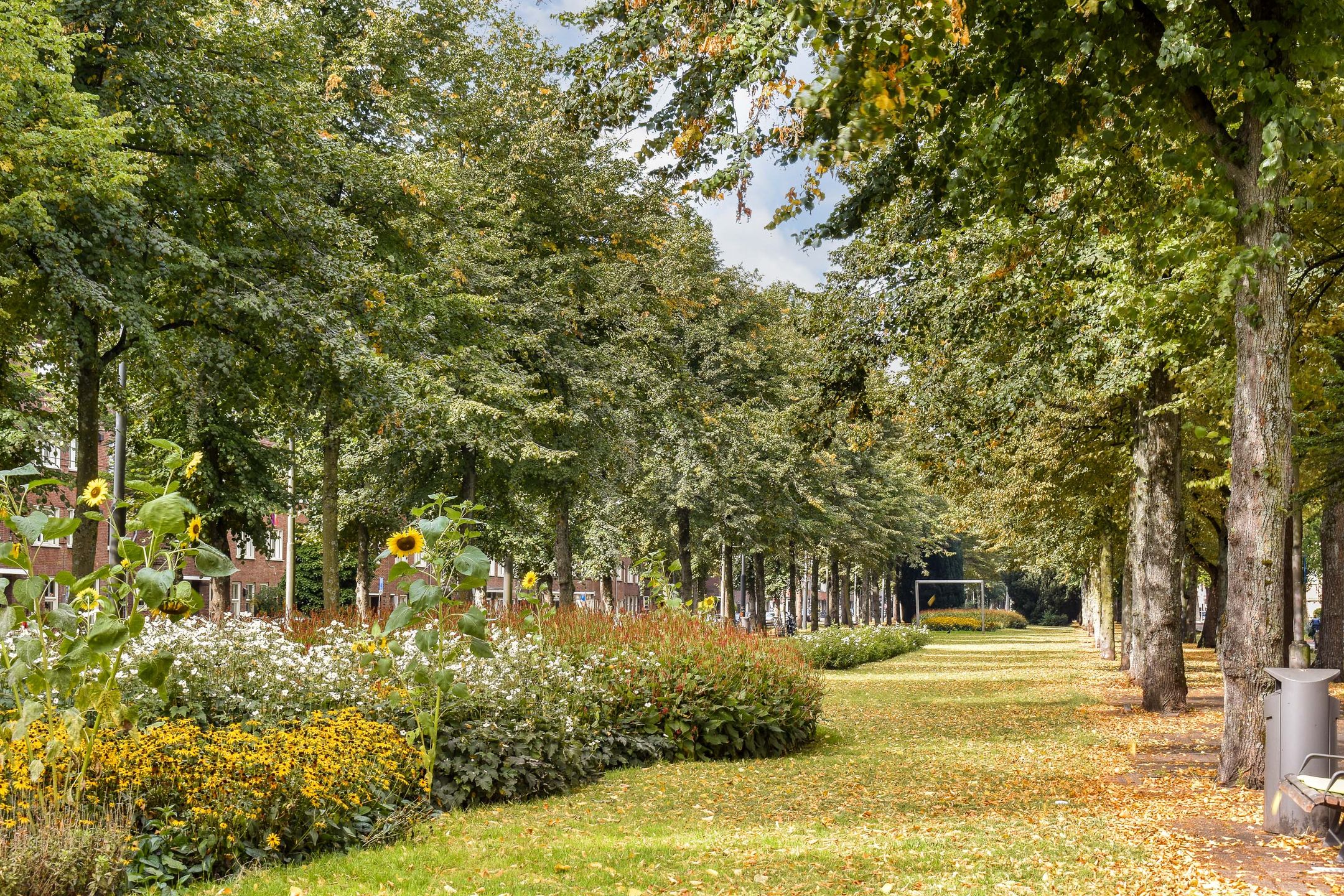 Photo 21 of Schipbeekstraat 12-2