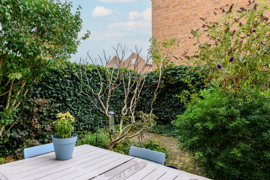 Foto 52 van Pietje Pluisplantsoen 18