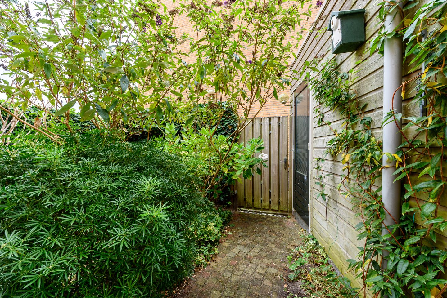 Foto 55 van Pietje Pluisplantsoen 18