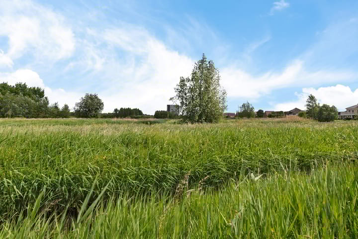 Foto 4 van Zegwaartseweg 164